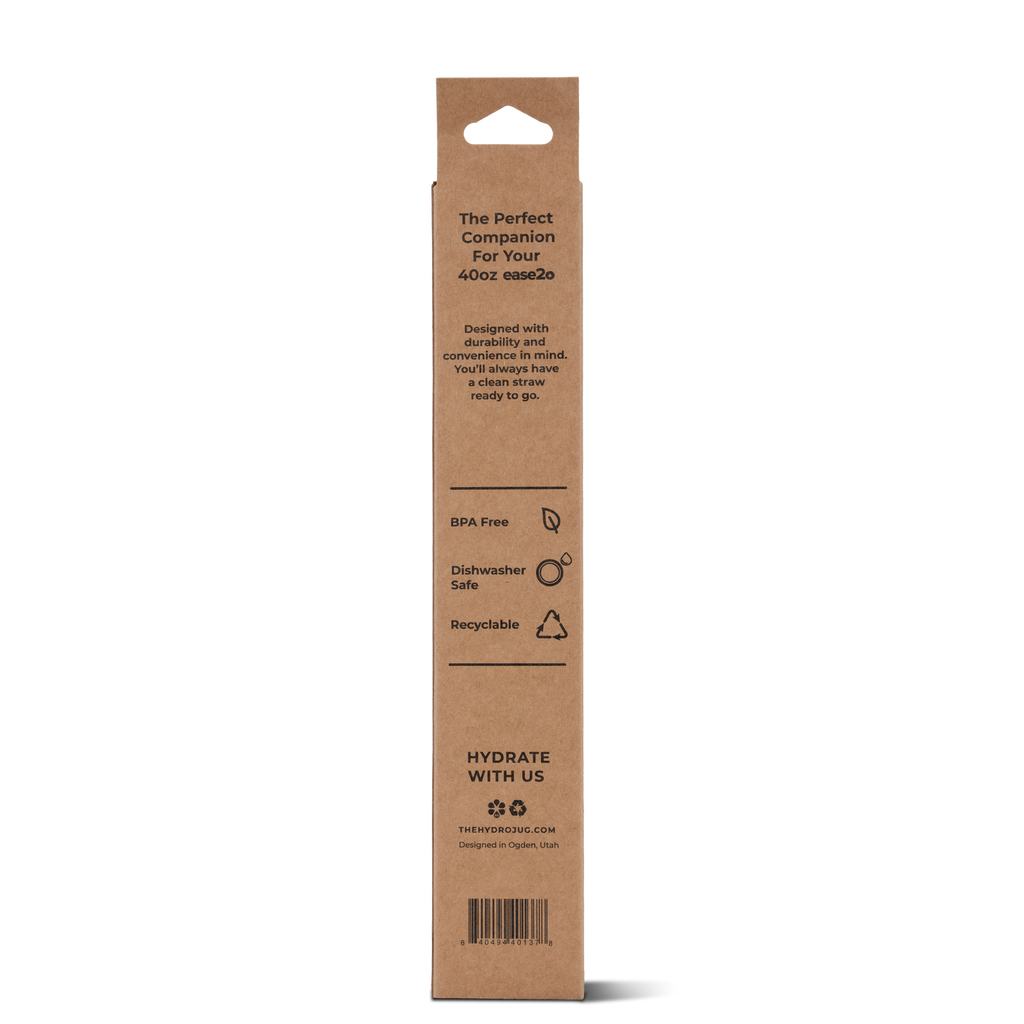 Ease2o Straws 4 Pack 40oz Bright HY666-216