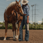 Rodeo Classic HY666-081