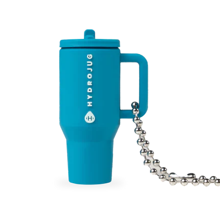 Traveler Keychain Pure HY666-029