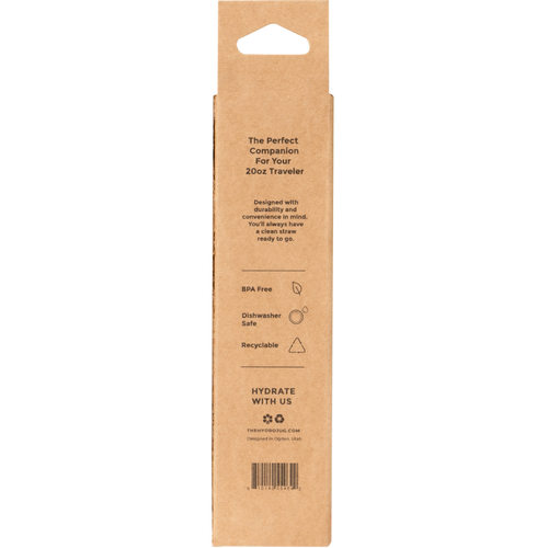 20oz Traveler Straws Clean HY666-051