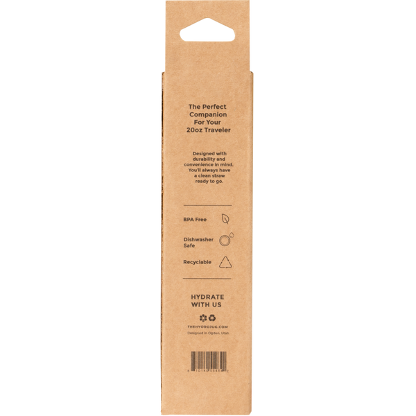 20oz Traveler Straws Clean HY666-051